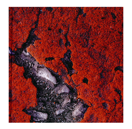 Munken_Polar_Rough